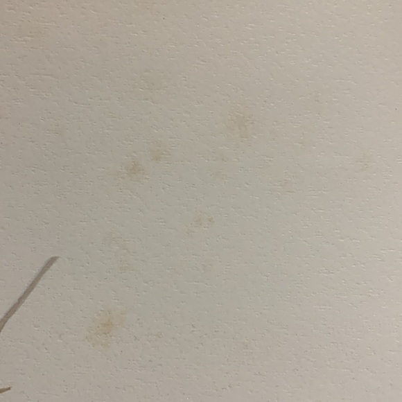 Glen Loates “FOX” 18 x 23 in signed / sealed lithograph - Picture 12 of 13